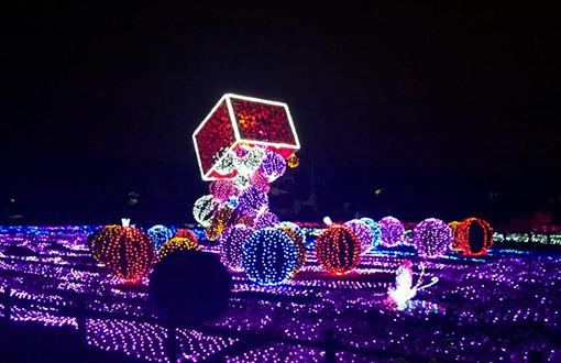 燈光亮化工程,路燈廠家美化城市夜景環(huán)境