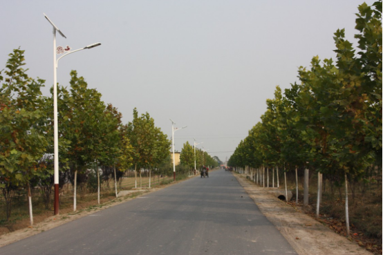 特色造型太陽能路燈照亮臨淄區(qū)齊都鎮(zhèn)